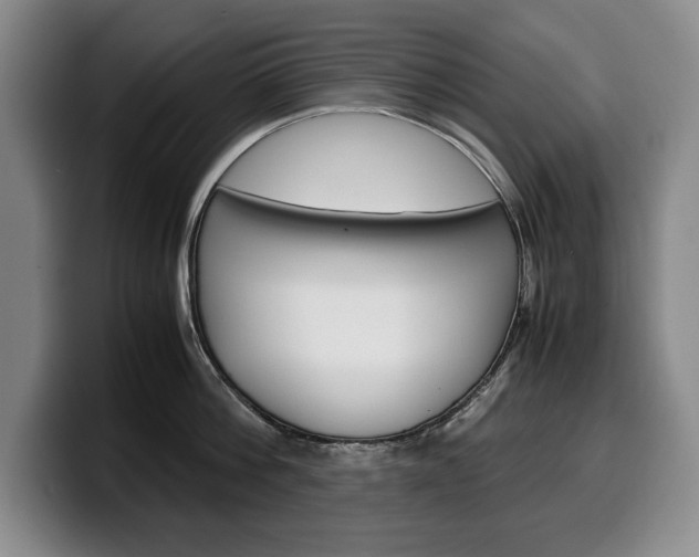 X0000100340812200806051223