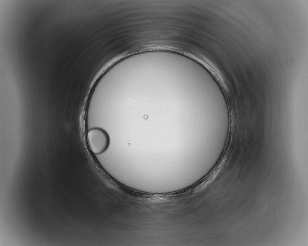 X0000100340814200806051223