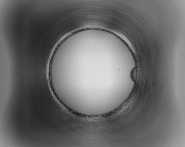 X0000100340815200806051223