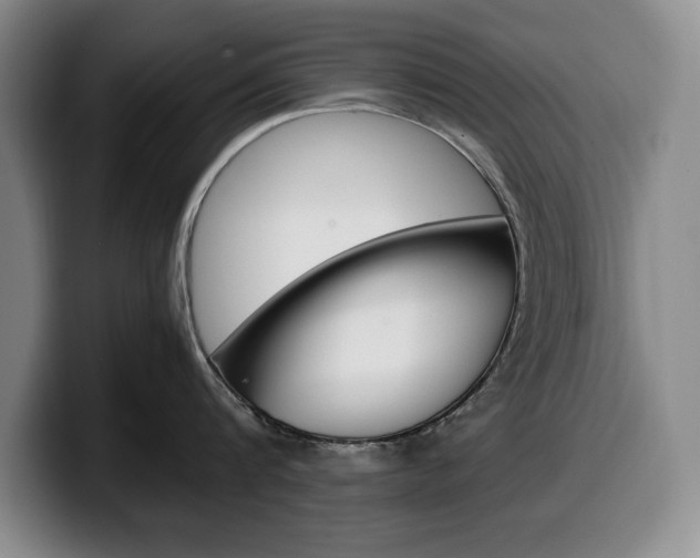 X0000100340816200806051223