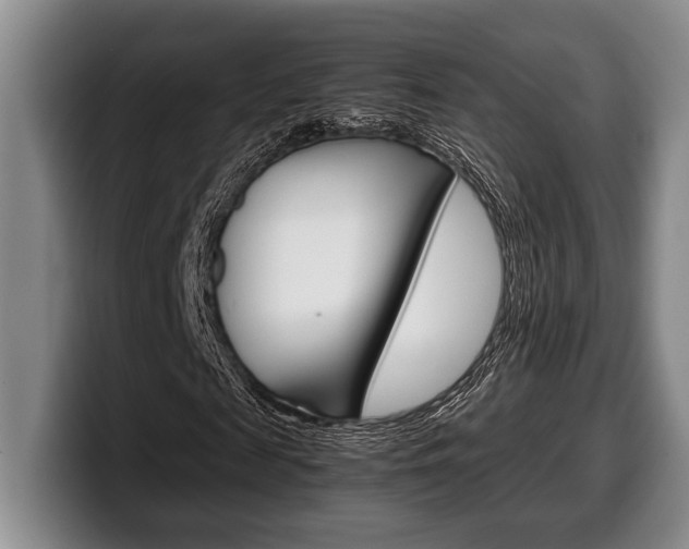 X0000100340817200806051223
