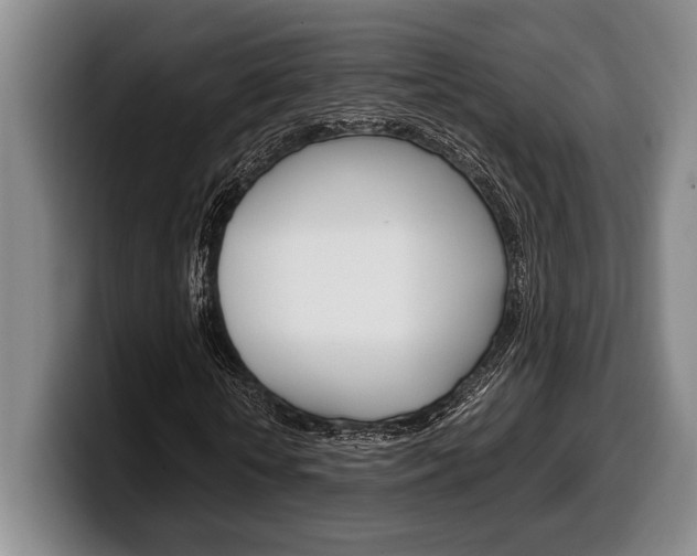 X0000100340818200806051223