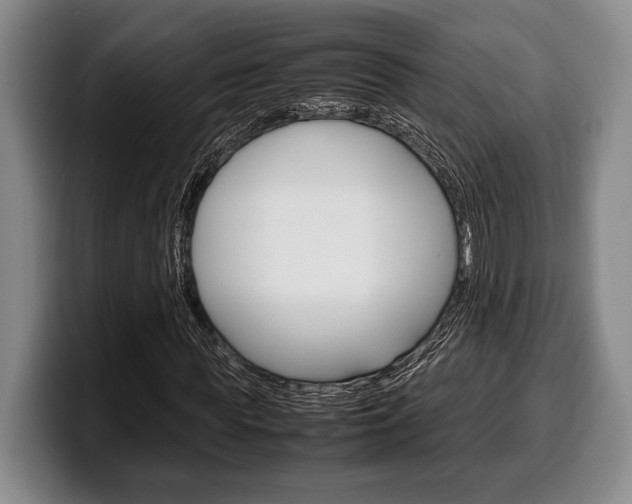 X0000100340819200806051223