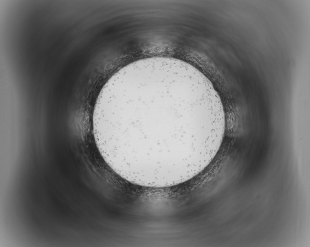 X0000100340820200806051223