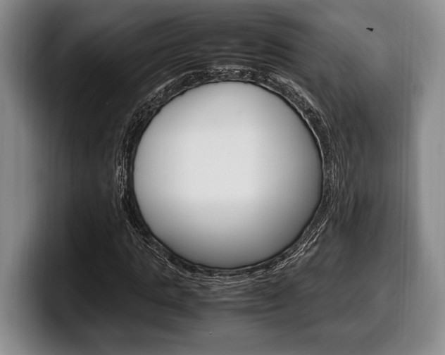 X0000100340821200806051223