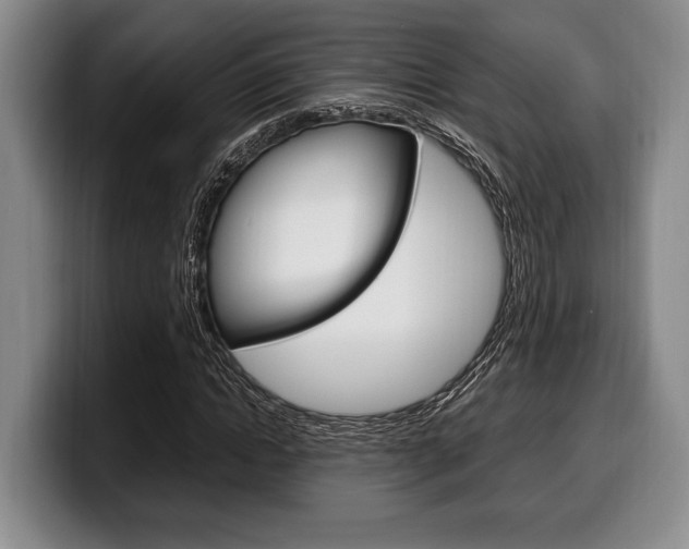 X0000100340822200806051223