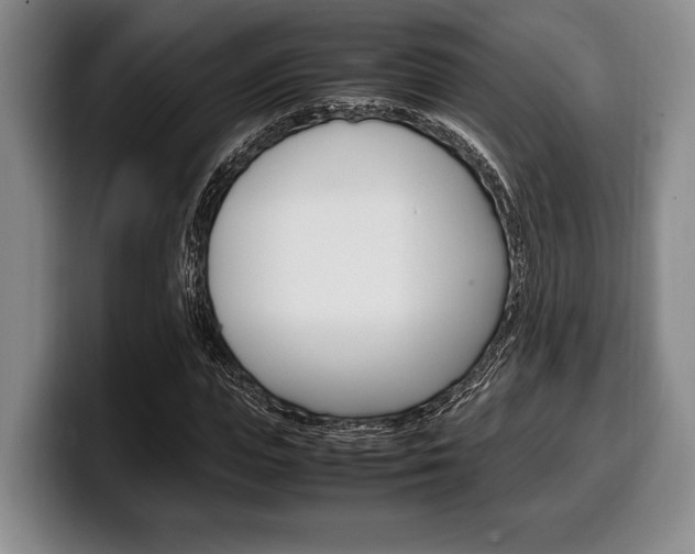X0000100340823200806051223