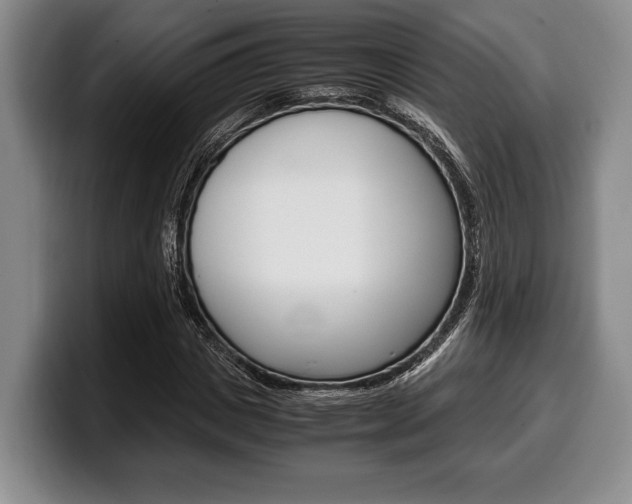 X0000100340825200806051223