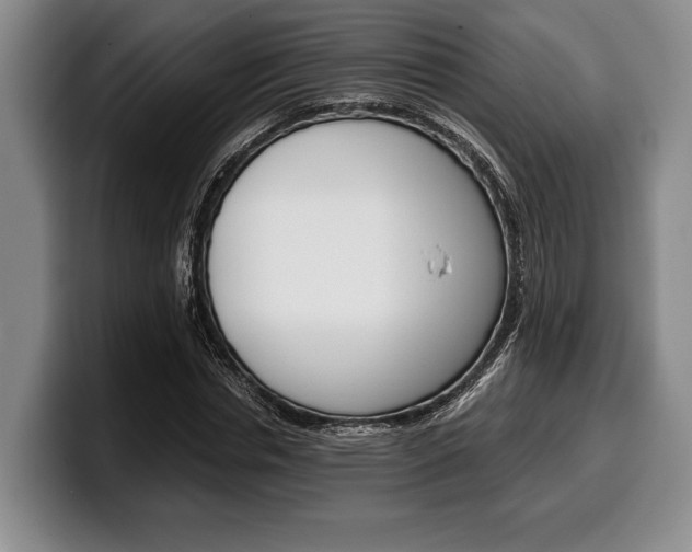 X0000100340826200806051223