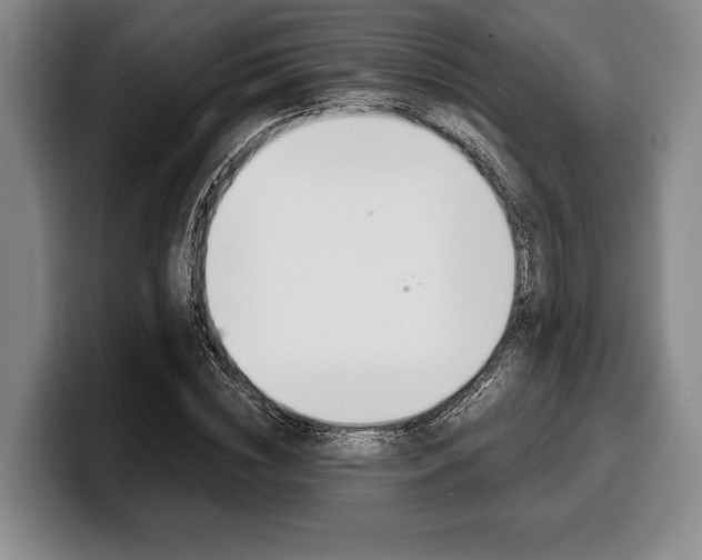 X0000100340828200806051223