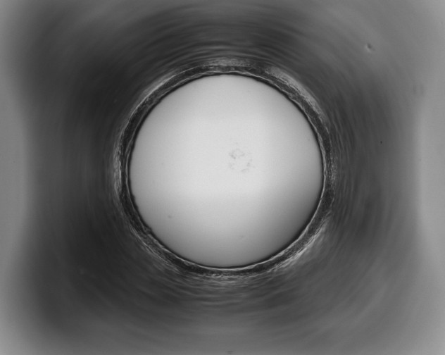 X0000100340829200806051223