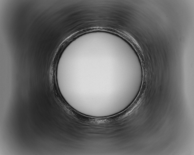 X0000100340831200806051223