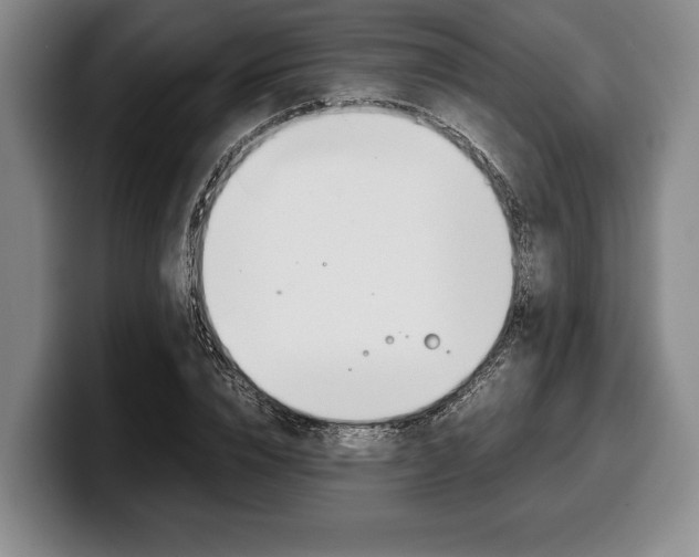 X0000100340832200806051223