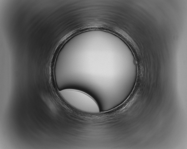 X0000100340834200806051223