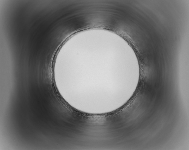 X0000100340836200806051223