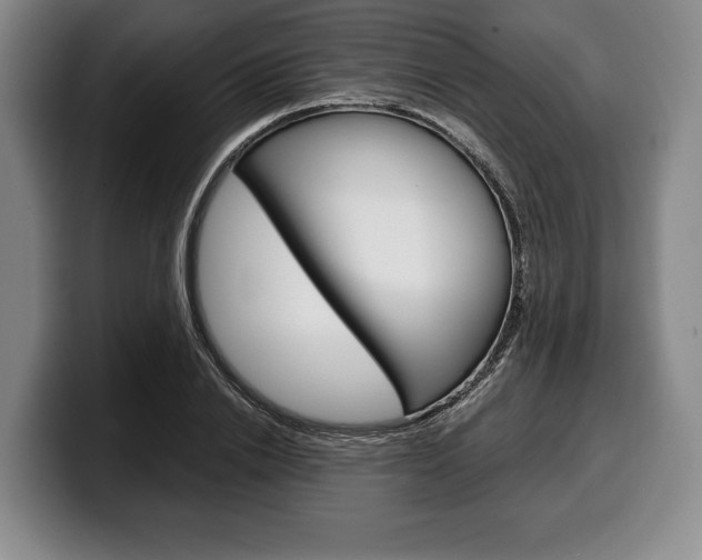 X0000100340838200806051223