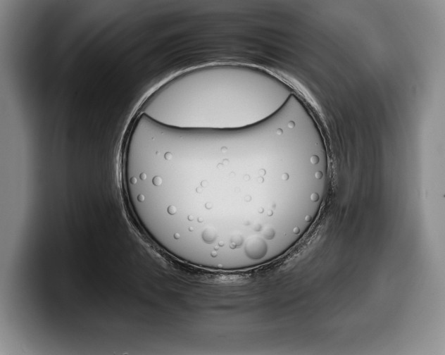 X0000100340839200806051223