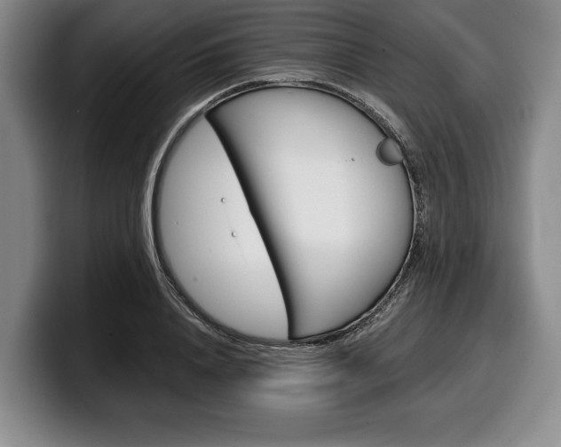 X0000100340840200806051223
