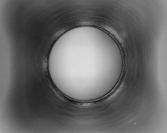 X0000100340841200806051223