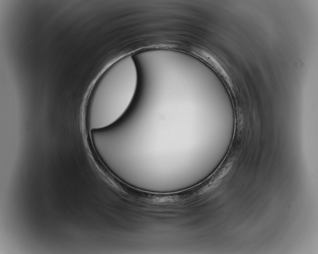 X0000100340843200806051223