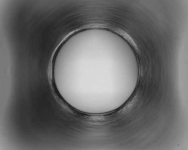 X0000100340844200806051223