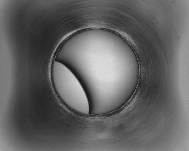 X0000100340846200806051223