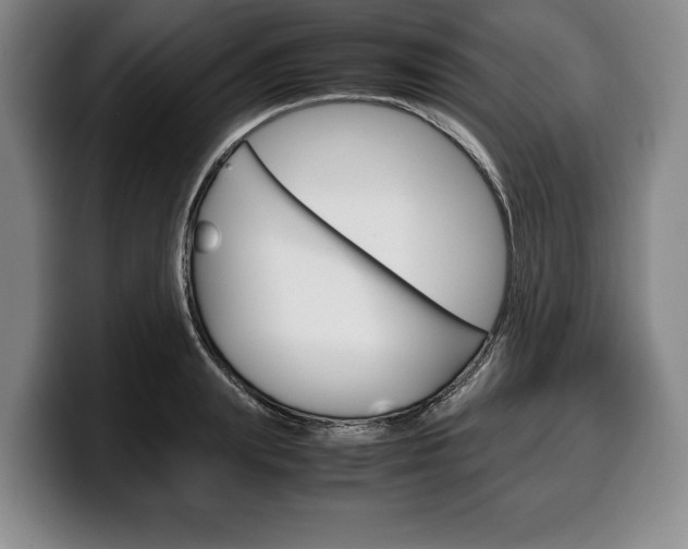 X0000100340847200806051223