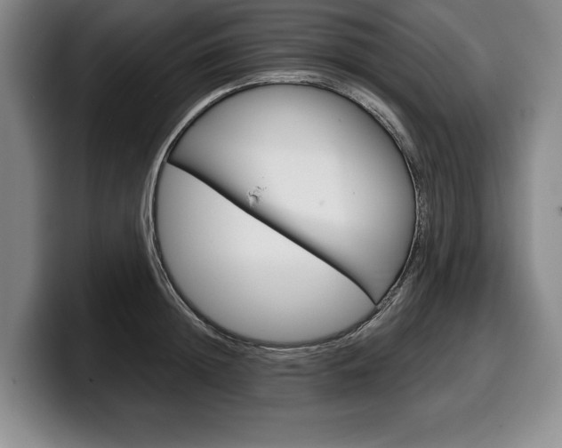 X0000100340852200806051223