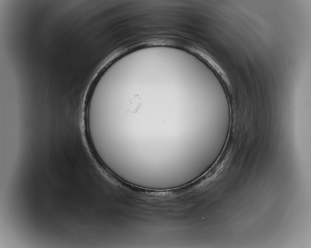 X0000100340853200806051223