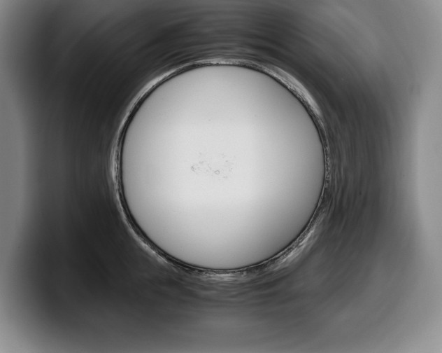 X0000100340855200806051223