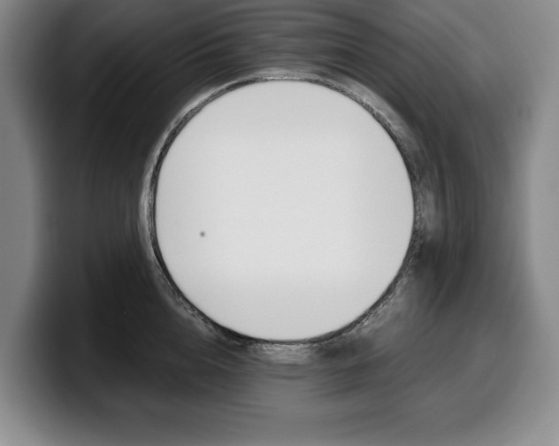 X0000100340856200806051223