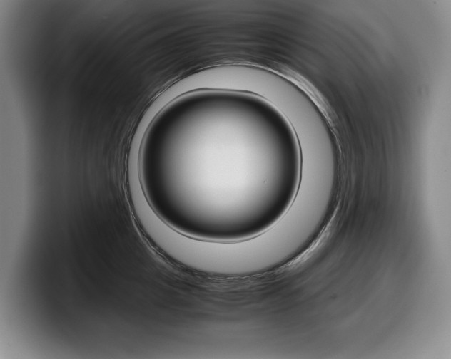 X0000100340857200806051223