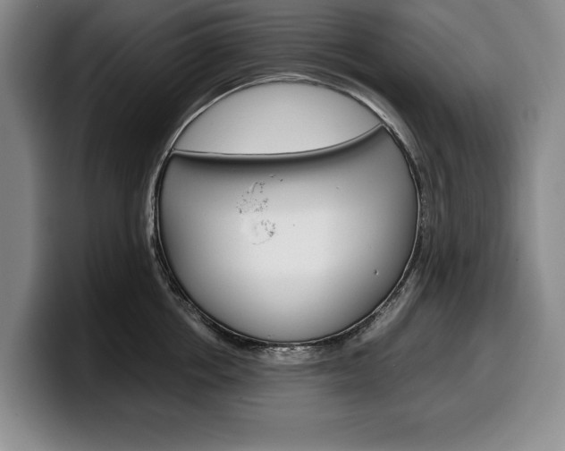 X0000100340858200806051223