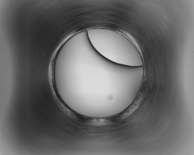 X0000100340859200806051223