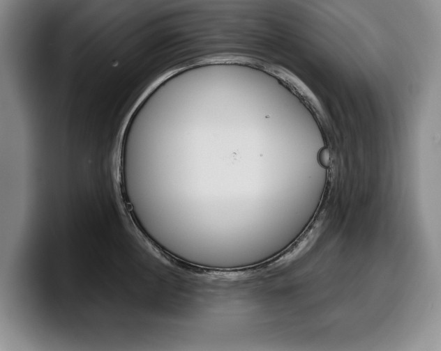 X0000100340860200806051223