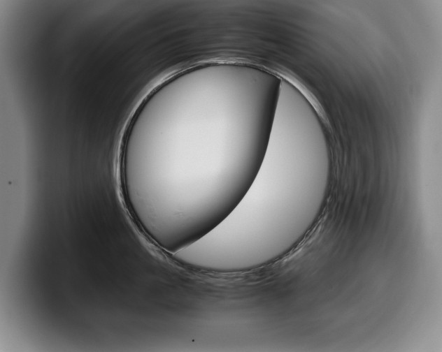 X0000100340861200806051223