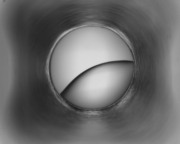 X0000100340862200806051223