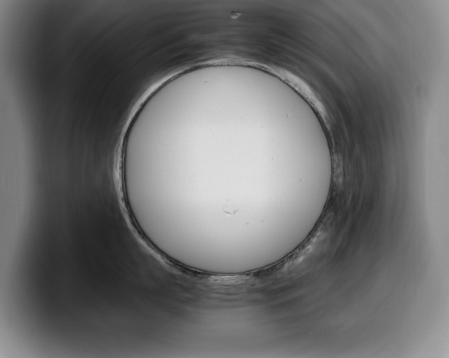 X0000100340863200806051223