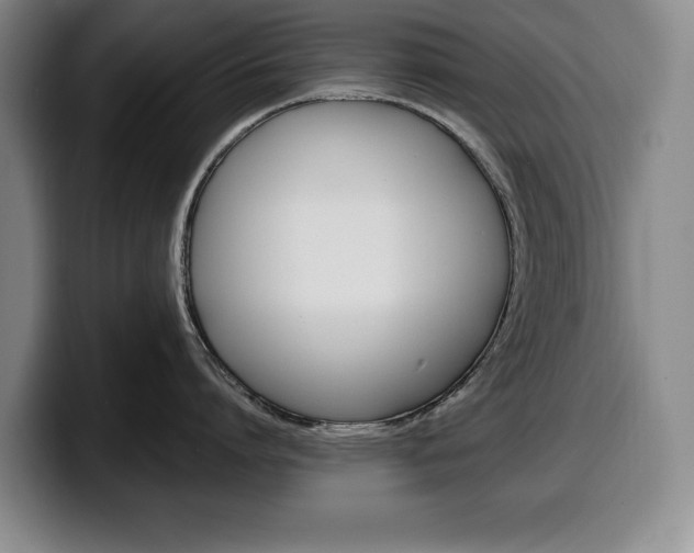 X0000100340864200806051223