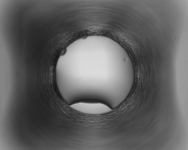 X0000100340868200806051223