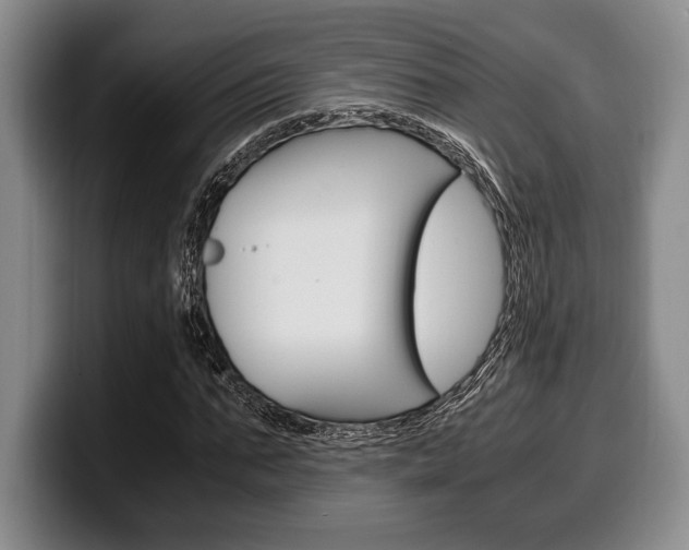 X0000100340871200806051223