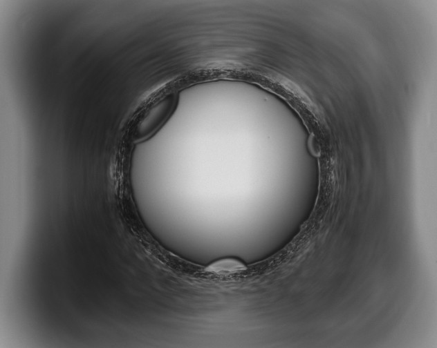 X0000100340872200806051223