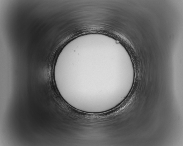 X0000100340873200806051223