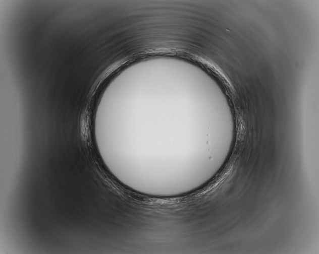 X0000100340874200806051223