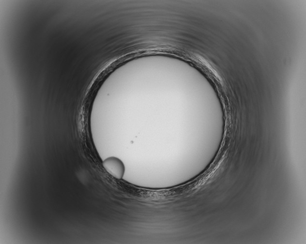 X0000100340875200806051223