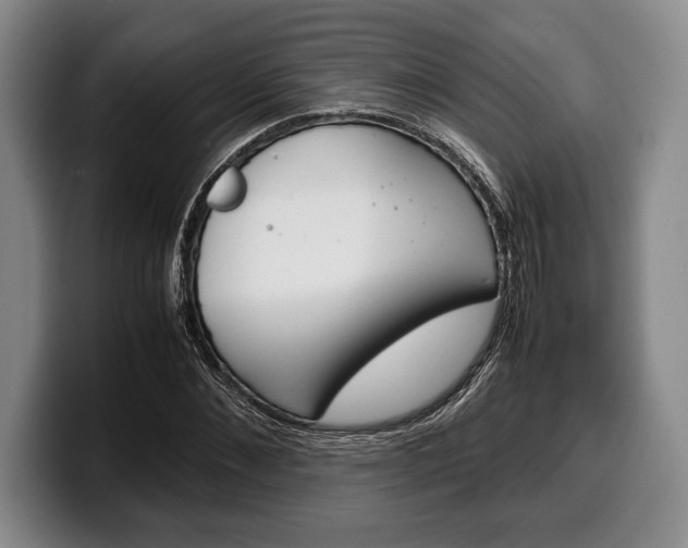 X0000100340876200806051223