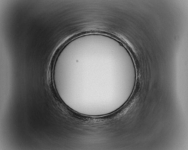 X0000100340877200806051223