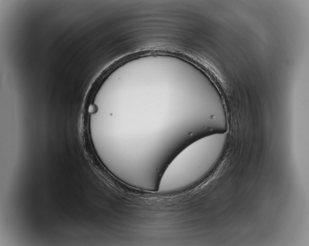 X0000100340880200806051222