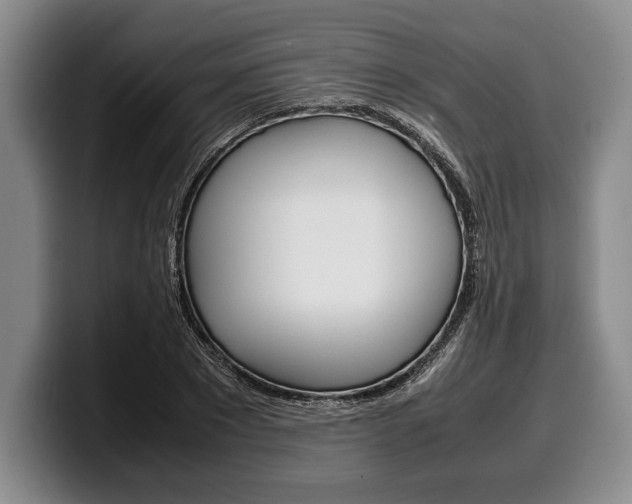 X0000100340881200806051222