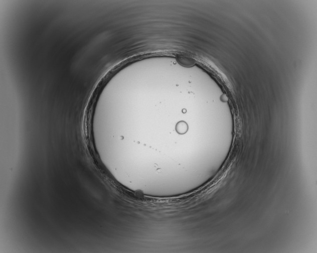 X0000100340883200806051222